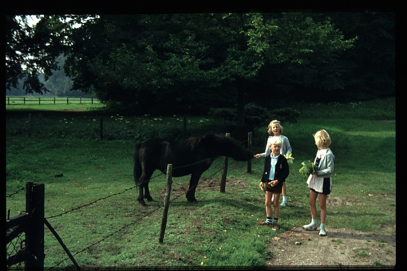 18.Horsten aug 1970 Brigitte,Marion,Peter.JPG